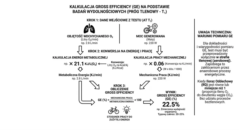 Gross Efficiency - Czym jest efektywność? I jak ją poprawić? – ilustracja 1