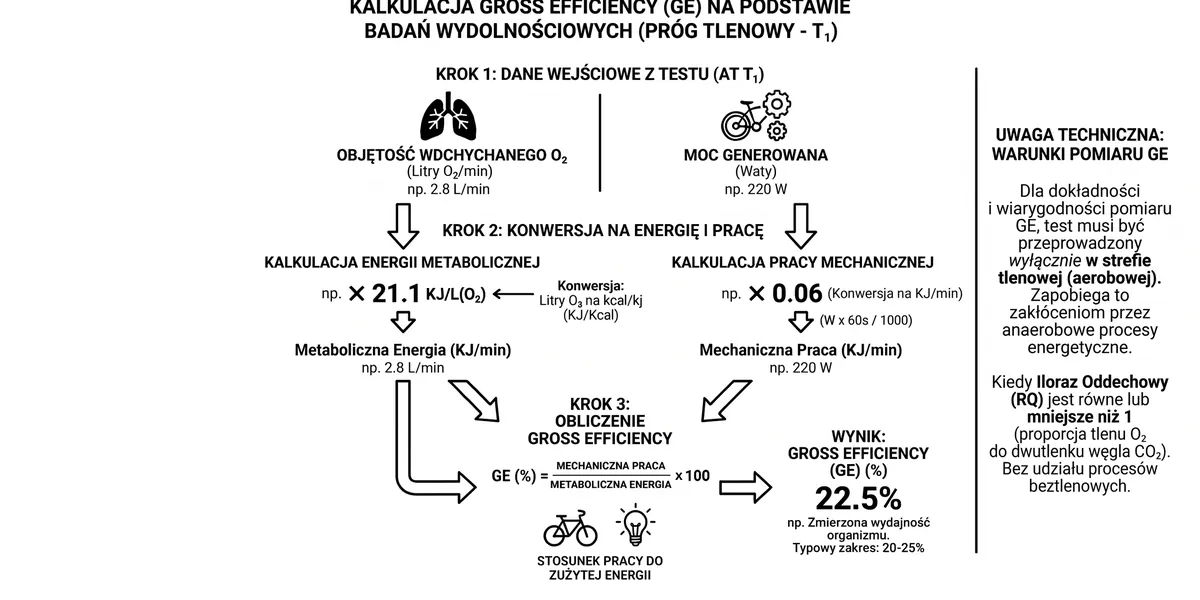 Gross Efficiency - Czym jest efektywność? I jak ją poprawić?